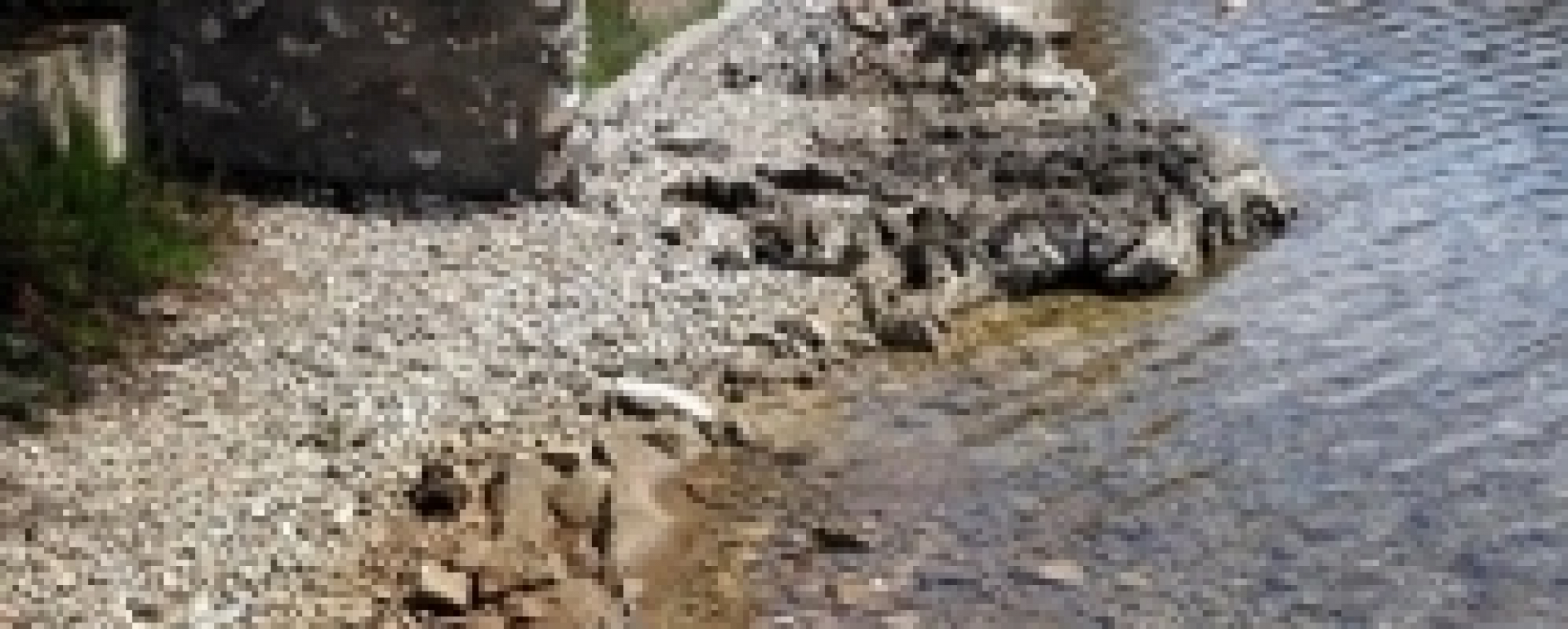  Završena sanacija u luci otvorenoj za javni promet Zapuntel