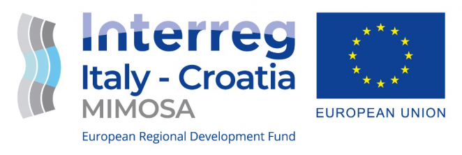 MIMOSA – MarItime and Multimodal Sustainable passenger transport solutions and services